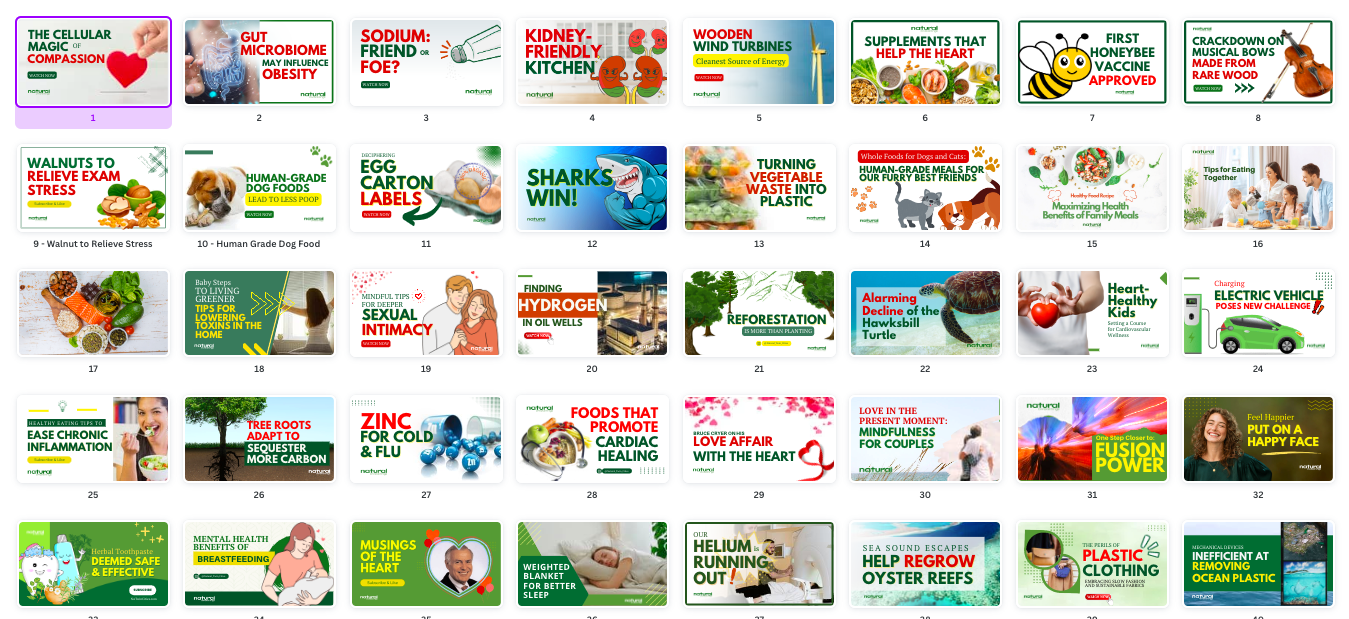 graphic design samples